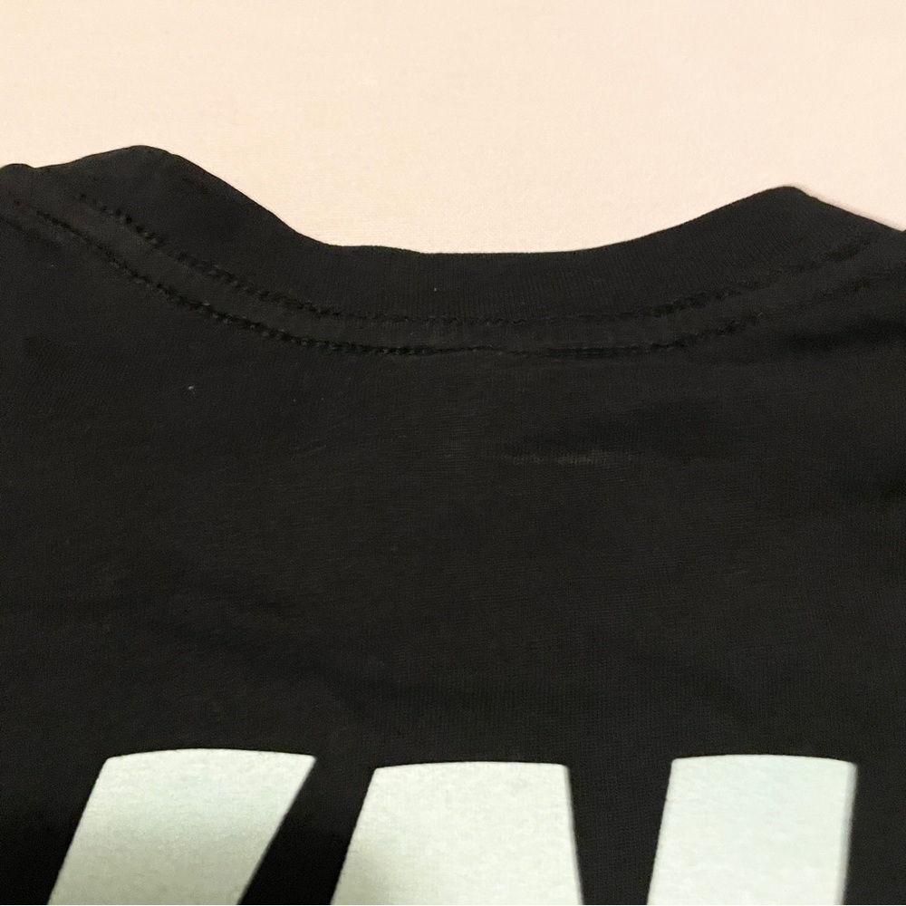 Pink Summer Carnival Tour T-Shirt 2024 Black Pink Concert P!NK Merch Large - Picture 11 of 16